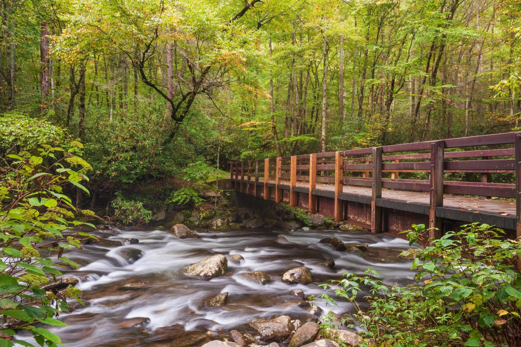 Ober Hideaway, Hot Tub, Wifi, 1089 Free Tickets Each Paid Day, Dollywood And More Gatlinburg Eksteriør bilde